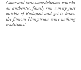 Come and taste some delicious wine in an authentic, family run winery just outside of Budapest and get to know the famous Hungarian wine making traditions!