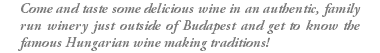 Come and taste some delicious wine in an authentic, family run winery just outside of Budapest and get to know the famous Hungarian wine making traditions!